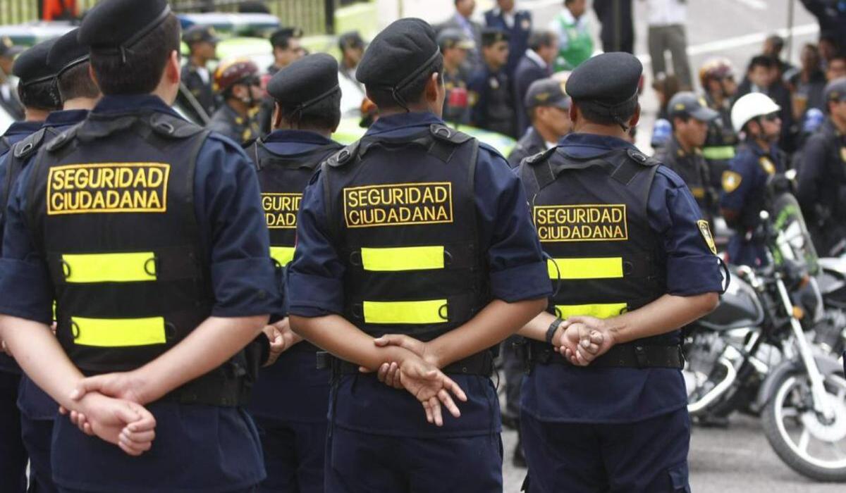 Course Image SEGURIDAD CIUDADANA 2025
